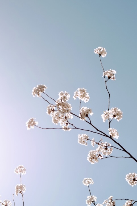 Zwischenüberschrift - 2